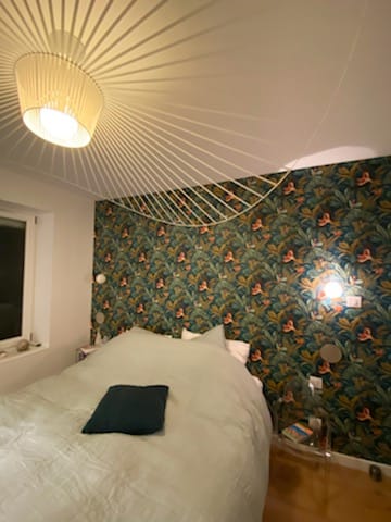 PHOTO 2022 04 26 21 28 24 3 | Tolaz Renovation Décoration et Plâtrerie Guebwiller 14